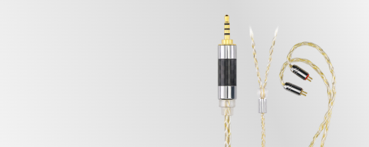 Earphone Accessories