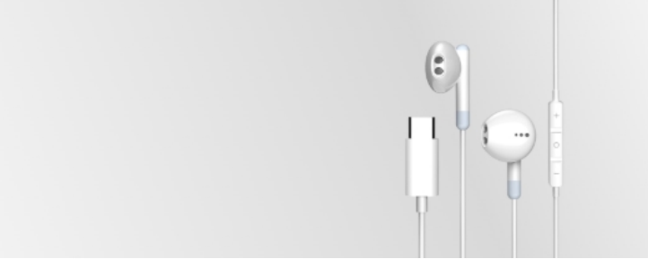 USB-C Earphones